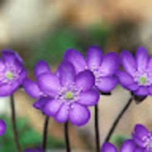 Meet your Posher, Vita